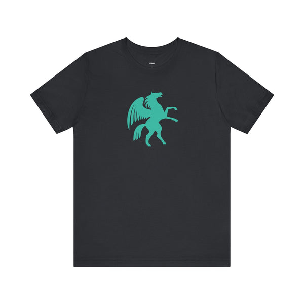 Black t-shirt with turquoise Pegasus graphic design, cool graphic t shirt